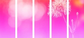 Εικόνα 5 τμημάτων Πικραλίδα σε ροζ φόντο - 200x100