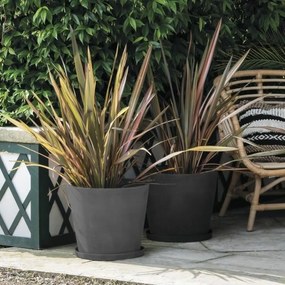 Βάζο Λουλουδιών Deroma