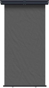 vidaXL Αυλούπα Πλευράς Μπαλκονιού 160 x 250 cm