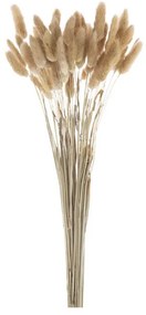 Artekko Pampass Μπουκέτο με Μπεζ Πάμπας (20x20x45)cm Artekko 411878-NATU-AB