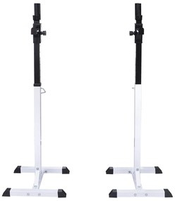 vidaXL Ορθοστάτης Μπάρας/Squat Rack με Σετ Μπάρα και Αλτήρες 30,5 κ.