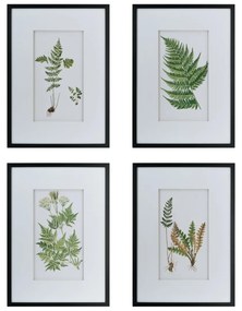 Artekko Botanical Πίνακας με Κορνίζα Πλαστικό Γυαλί Μαύρο Πράσινο (50x3x70)cm Σετ/4