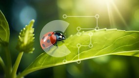 Intra Συλλεκτικό Ξύλινο Παζλ Plywood  4mm - Πασχαλίτσα στο πράσινο φύλλο με το φως του ήλιου Σε Ξύλινο Κουτί - Διαστάσεις: 10x10 cm – 25 κομμάτια