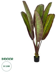 Artificial Garden BLOODY BANANA TREE 20117 - Τεχνητό Διακοσμητικό Φυτό Αιματόφυλλη Μπανανιά - Μπανανόδεντρο Υ160cm