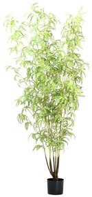 Τεχνητό Δέντρο Φτέρη Boston 4770-6 250cm Green Supergreens Polyethylene,Fabric