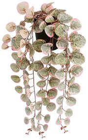 Τεχνητό Φυτό Σε Γλάστρα Κρεμαστό (Φ12x46) Edelman Ceropegia Pink 1151041
