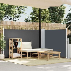 vidaXL Σκίαστρο Πλαϊνό Συρόμενο Ανθρακί 120 x 600 εκ.