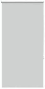 vidaXL Ρολέρ Μπλακάουτ ανοιχτό γκρι 75x130 cm Πλάτος υφάσματος 70,7cm