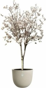 Βάζο Λουλουδιών Elho