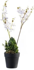 Τεχνητό Φυτό Ορχιδέα Phalaenopsis 50 εκ. 2670-6 Supergreens-2670-6-Λευκό 2670-6