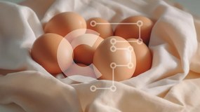 Σετ των 2 Intra Συλλεκτικό Ξύλινο Παζλ Plywood  4mm - Καφέ αυγά σε μαλακό ύφασμα Σε Ξύλινο Κουτί - Διαστάσεις: 10x10 cm – 25 κομμάτια