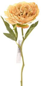 Τεχνητό Κλωνάρι Παιώνια 6280-7 34cm Beige Supergreens Polyethylene