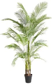 New plan PALM TREE NP5501_210_22 ΥΨΟΣ 210cm Τεμαχιο