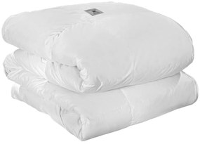 ΜΟΝΟ ΠΑΠΛΩΜΑ 160x220cm GUY LAROCHE - FINE MICROFIBRE