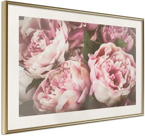 Αφίσα - Pastel Peonies - 45x30 - Χρυσό - Με πασπαρτού