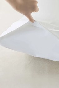 Stewehome μαξιλαροθήκη από 100% βαμβάκι Λευκό 50x70 cm