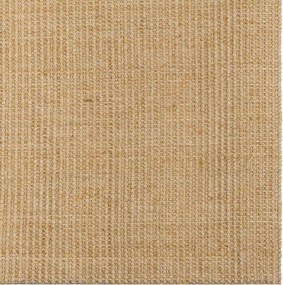 vidaXL Χαλί 66 x 100 εκ. από Φυσικό Σιζάλ