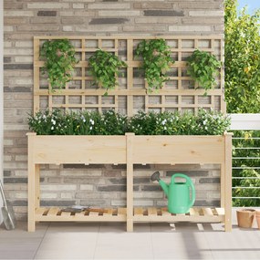 vidaXL Κήπος Γλάστρα με Πλέγμα &amp; Ράφι 161x43x152 εκ. Μασίφ ξύλο πεύκου