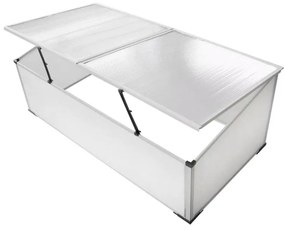 vidaXL Θερμοκήπιο ψυχρού πλαισίου με 2 καπάκια 110x41x55 cm