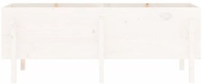 vidaXL Ζαρντινιέρα Υπερυψωμένη 160 x 50 x 57 εκ. από Μασίφ Ξύλο Πεύκου