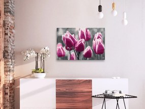 Πίνακας για να τον ζωγραφίζεις - Tulip Field 60x40