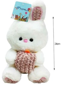 Λούτρινο Λαγουδάκι - Plush Bunny