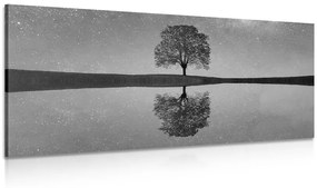 Εικόνα ενός έναστρου ουρανού πάνω από ένα μοναχικό δέντρο σε ασπρόμαυρο - 100x50