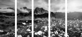 Εικόνα 5 μερών ανθισμένων λουλουδιών σε ασπρόμαυρο - 100x50