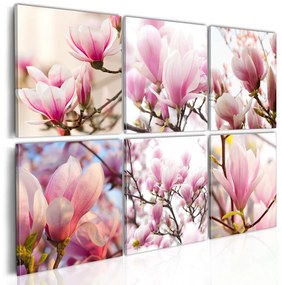 Πίνακας - Southern magnolias 120x80