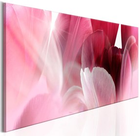 Πίνακας - Flowers: Pink Tulips 120x40