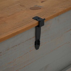 Σεντούκι αποθήκευσης HALDEN γκρι 91x48x47 cm μασίφ ξύλο πεύκο - Γκρι