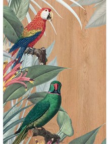 Red &amp; Green Parrots πίνακας διακόσμησης 67 x 47 x 0,60 εκ (21658) - MDF - 21658