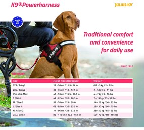 Λουρί Σκύλου Julius K9