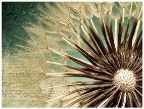 Φωτοταπετσαρία - Focus on dandelion 400x309