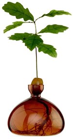 Βάζο Για Ανάπτυξη Καρπού Βελανιδιού 001-8 10x10cm Russet Brown Ilex Studio Γυαλί