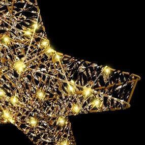 vidaXL 3D Αστέρι με 50 LED Θερμό λευκό 55 x 52.5 x 9 εκ PET