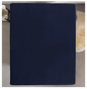 Υπέρδιπλο Σεντόνι Jersey με Λάστιχο 160 x 200 x 30 cm Χρώματος Μπλε Dreamhouse 8720105600562