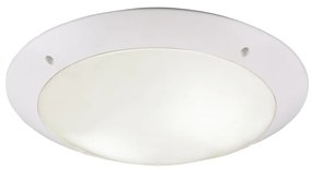 Φωτιστικό Οροφής Reality Lighting -RL CAMARO R60502031 Λευκό Ματ (White Mat)