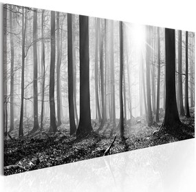 Πίνακας - Black and White Forest 150x50