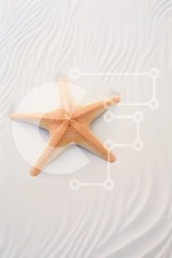 Intra Συλλεκτικό Ξύλινο Παζλ Plywood  4mm - Αστερίας στη λευκή άμμο Σε Ξύλινο Κουτί - Διαστάσεις: 10x10 cm – 25 κομμάτια