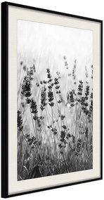 Αφίσα - Shadow of Meadow - 40x60 - Μαύρο - Με πασπαρτού