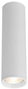 Φωτιστικό Σποτ Braytron BH04-00560 Λευκό (White)