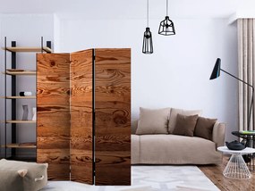 Διαχωριστικό με 3 τμήματα - Rustic Chic [Room Dividers]