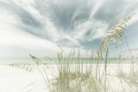 Φωτογραφία Heavenly calmness on the beach | Vintage, Melanie Viola