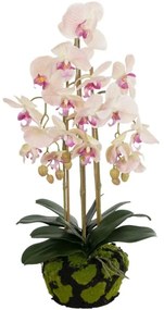 Τεχνητό Λουλούδι Butterfly Orchid Bonsai 21400 34x27x65cm Pink GloboStar Πολυαιθυλένιο,Ύφασμα