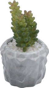 Τεχνητό Φυτό σε Μοντέρνο Κεραμικό Γλαστράκι 7x13cm