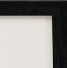 vidaXL Διπλή Κορνίζα Κολάζ Μαύρη 2 x (21 x 29,7 εκ.)