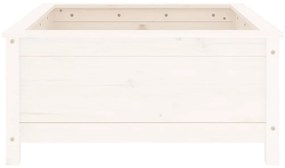 Ζαρντινιέρα Λευκή 82,5 x 82,5 x 39 εκ. από Μασίφ Ξύλο Πεύκου - Λευκό