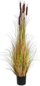 Τεχνητό Φυτό Typha Angustifolia Grass 20114 Φ80x150cm Multi GloboStar PVC
