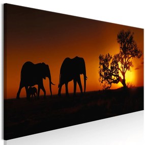 Πίνακας - Elephant Family (Orange) 120x40